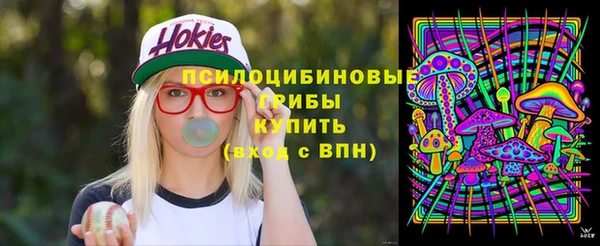 прущий лед Абаза