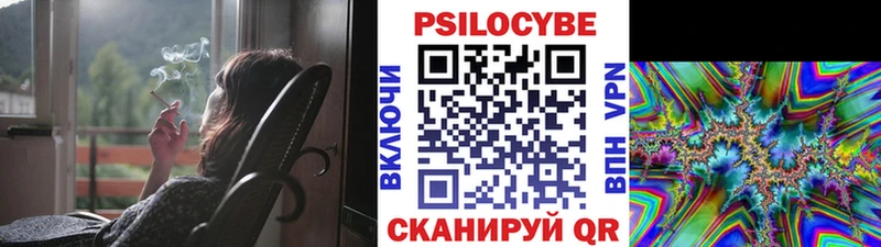 цены   Шилка  Псилоцибиновые грибы мухоморы 